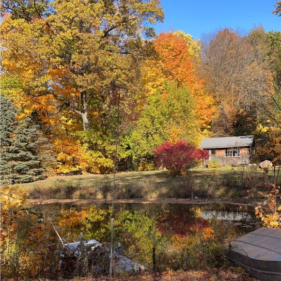 Meet your Posher, Michelle - Picture 4 of 4